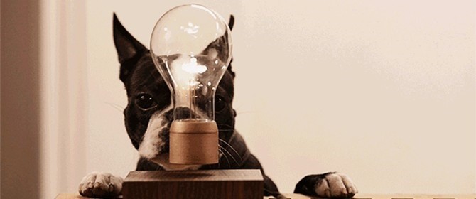 Ілюстрація. Притулок просить про допомогу в оплаті за електроенергію