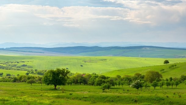 Ілюстрація. Відповідно до законопроєкту, відбудеться дерегуляція земельних відносин