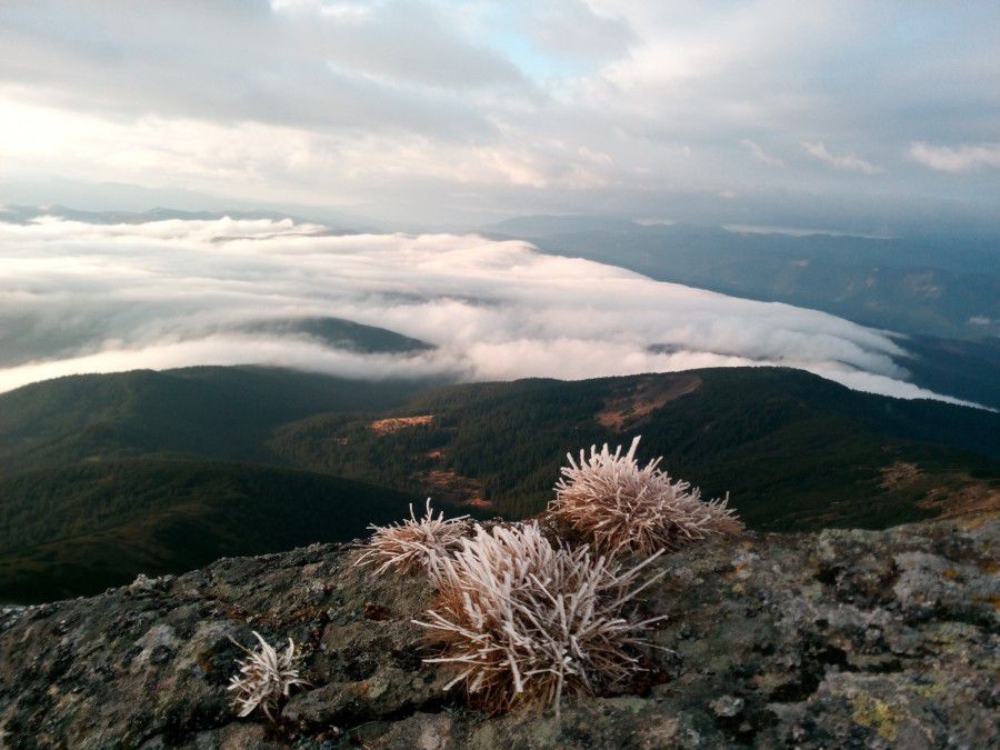 Світлини Карпат у виконанні Василя Фіцака порівнюють із творчістю Реріха