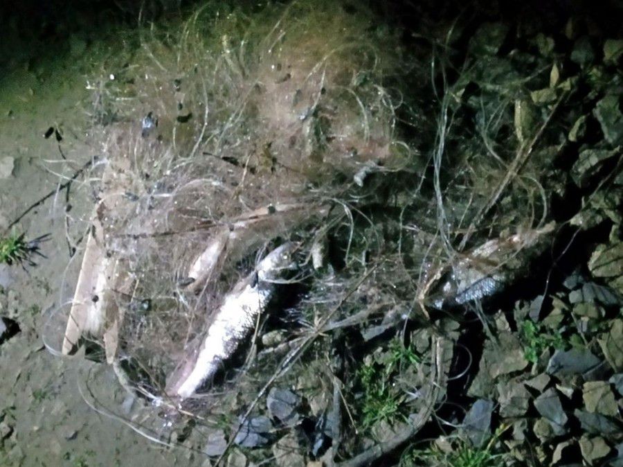 Браконьєр ловив рибу 10-метровою сіткою