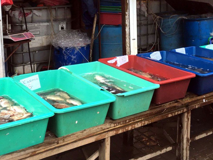 Чоловік незаконно продавав рибу семи видів та раки