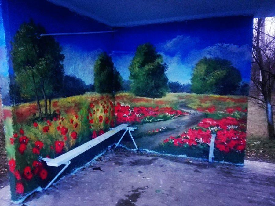 Молода художниця створює куточки краси на сільських автобусних зупинках