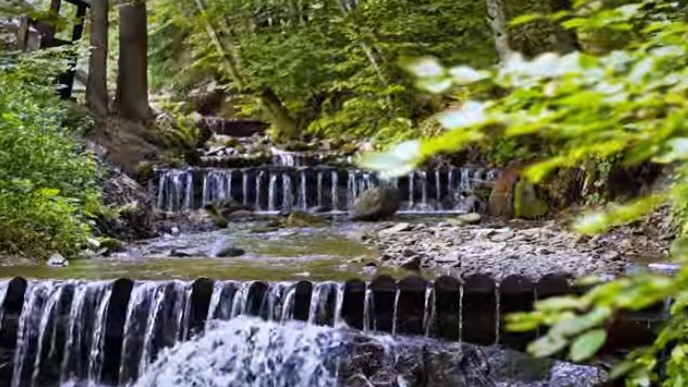 У фільмі, зокрема, розповідають про Карпати