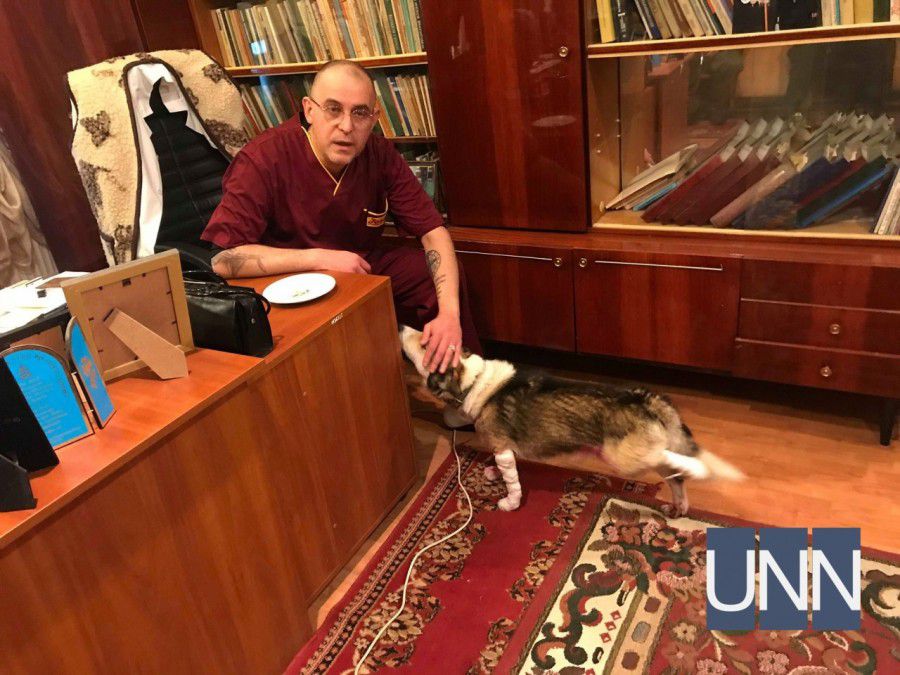 Професор Кирило Чумаков годує собаку і зазначає, що вона абсолютно адекватна