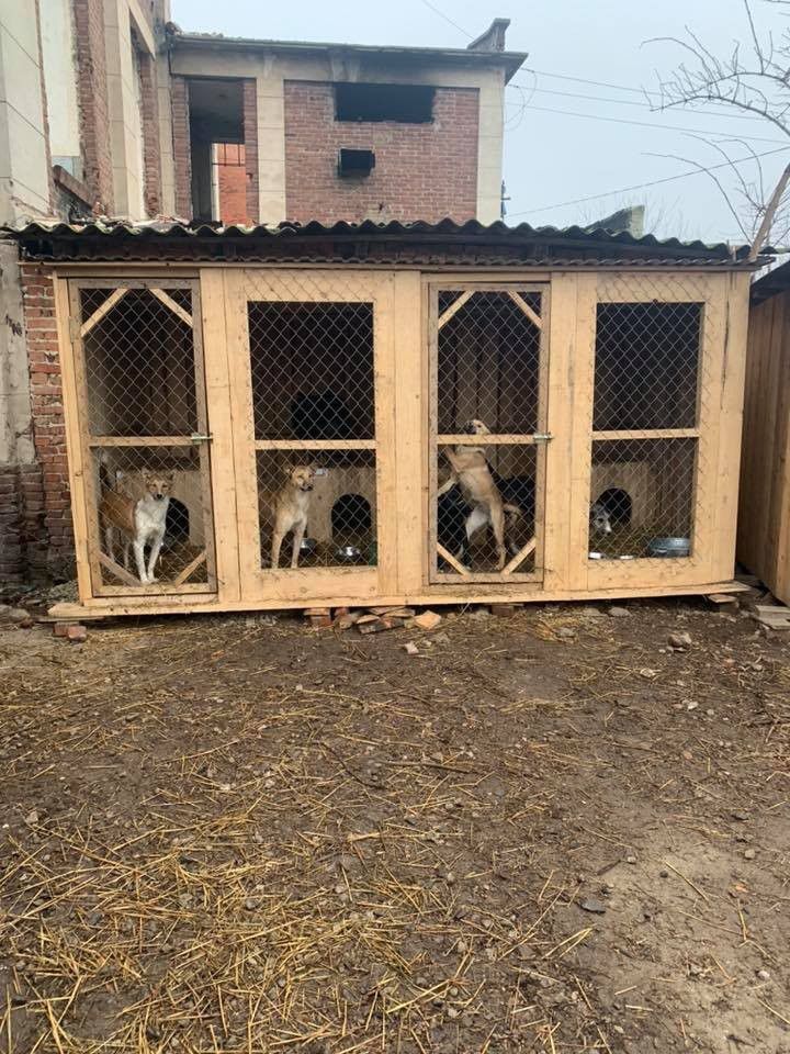 Волонтери вдячні калушанам за допомогу