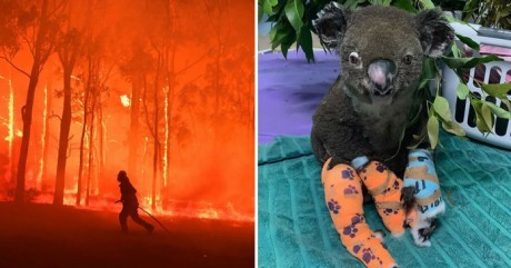 Десятки будинків уздовж східного узбережжя Австралії були зруйновані вщент, тисячі мешканців отримали травми, багато зму