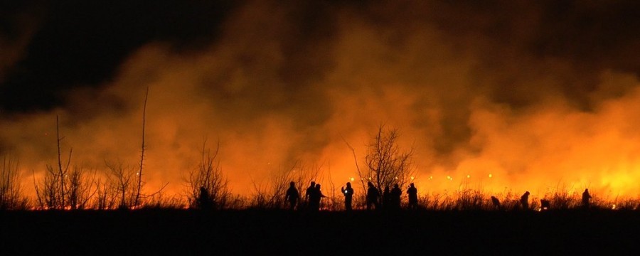 Біля аеропорту в Івано-Франківську горіло 5 гектарів сухостою  | Фото: https://suspilne.media/