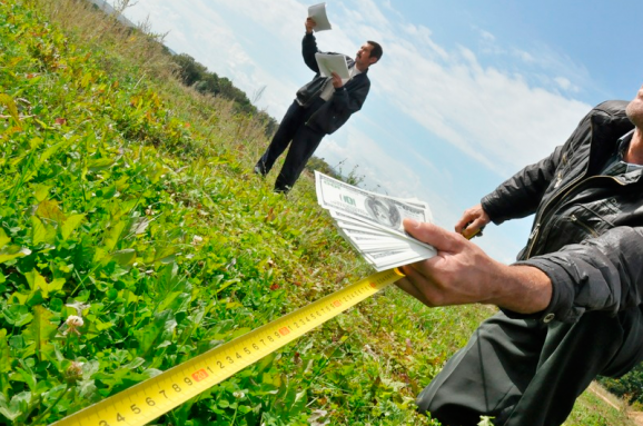 Ілюстрація. Продаж земельної ділянки.