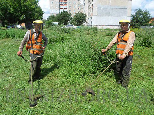 Ілюстрація. Переможці тендерів мають надавати свої послуги, починаючи з квітня і до кінця поточного року
