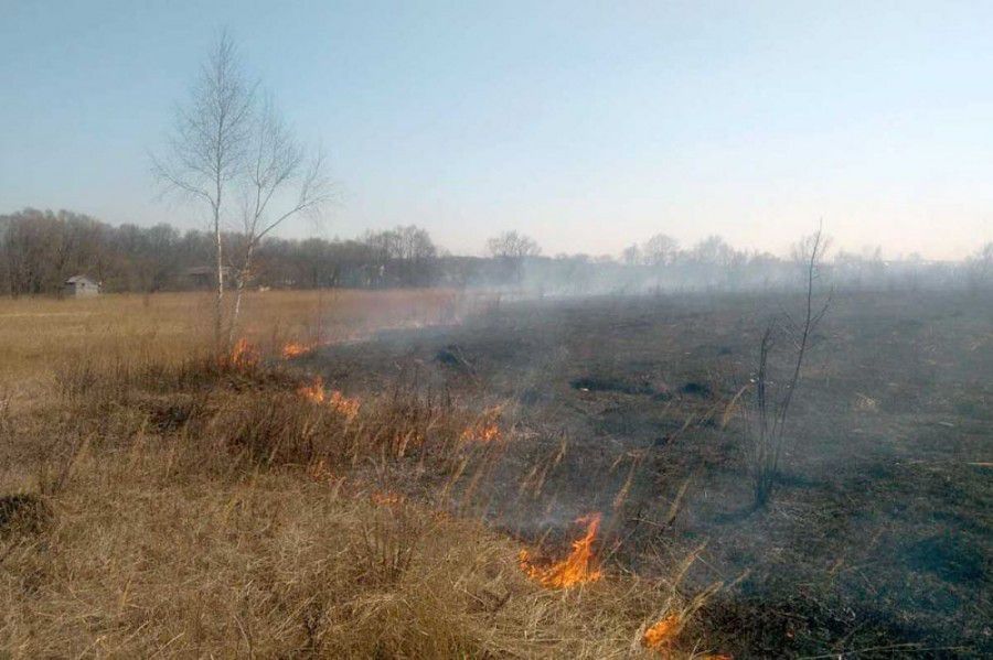 Ілюстрація. Пожежі сухостою загрожують екології і людям