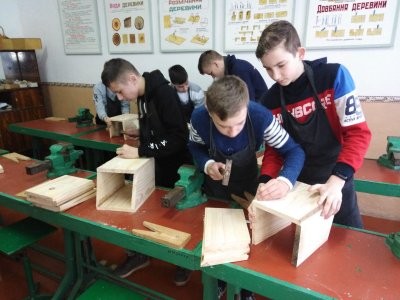 Шпаківні школярі розвішають у лісі