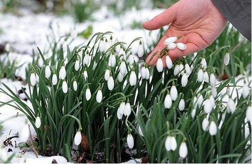 Ілюстрація. Протягом березня-квітня 2020 року  у Калуші будуть проводитись рейдові перевірки