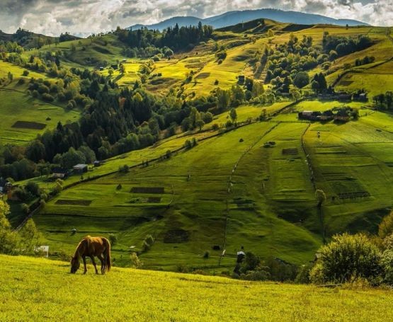 Ілюстрація. Під час засідання визначили структуру музею карпатської спадщини та мобільного віртуального путівника