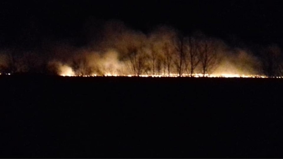 Щодня в Голині горить кілька ділянок | Фото: Голинянин Оор/Facebook