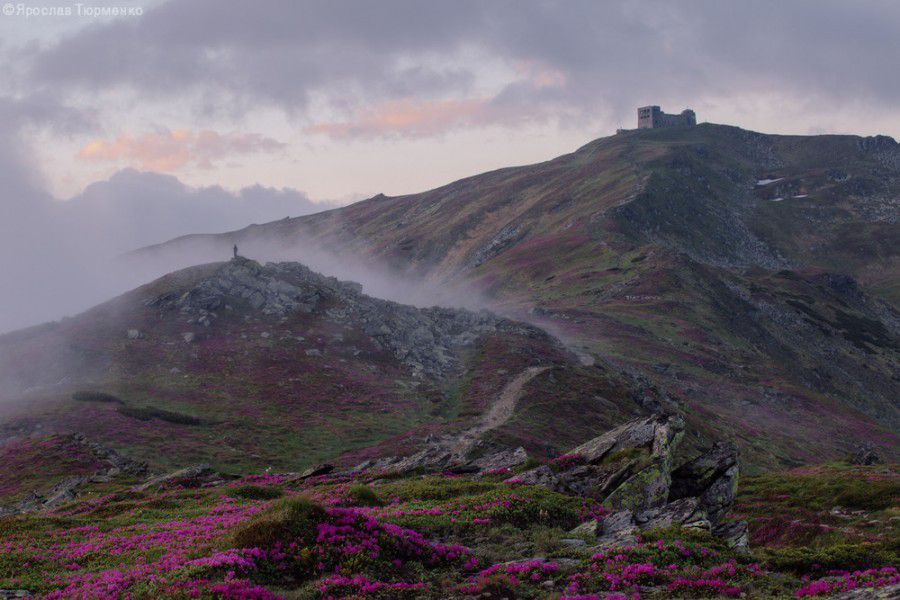 Віртуальним мандрівникам побажали легкого підкорення вершини