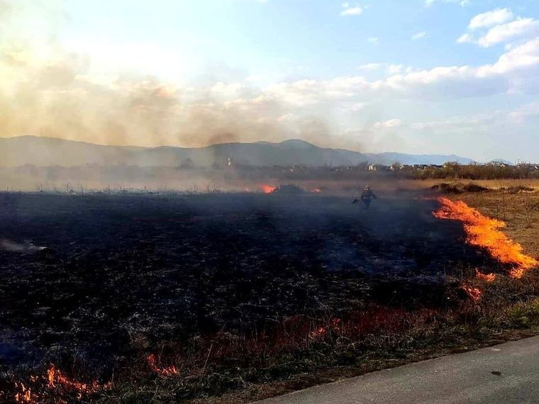 За підпал Долини нарцисів загрожує покарання у вигляді позбавлення волі на строк від 5-ти до 12-ти років