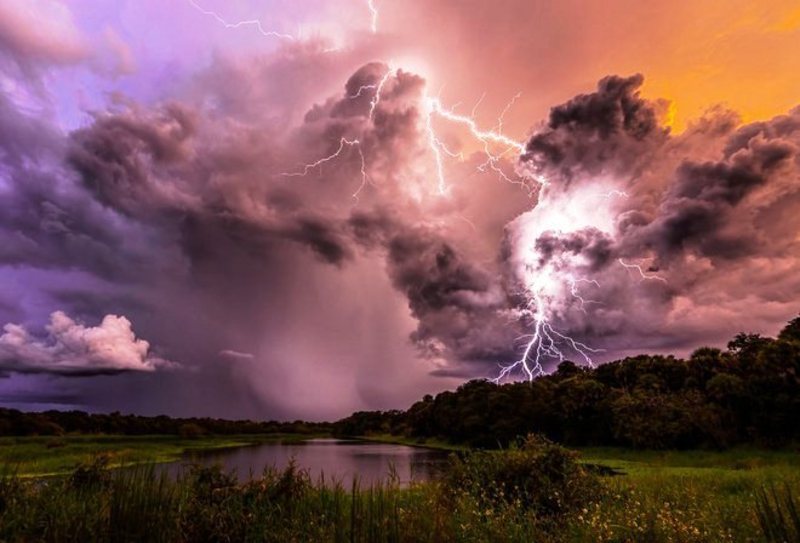 Під час грози на відкритому просторі категорично заборонено ховатися поблизу одиноких дерев