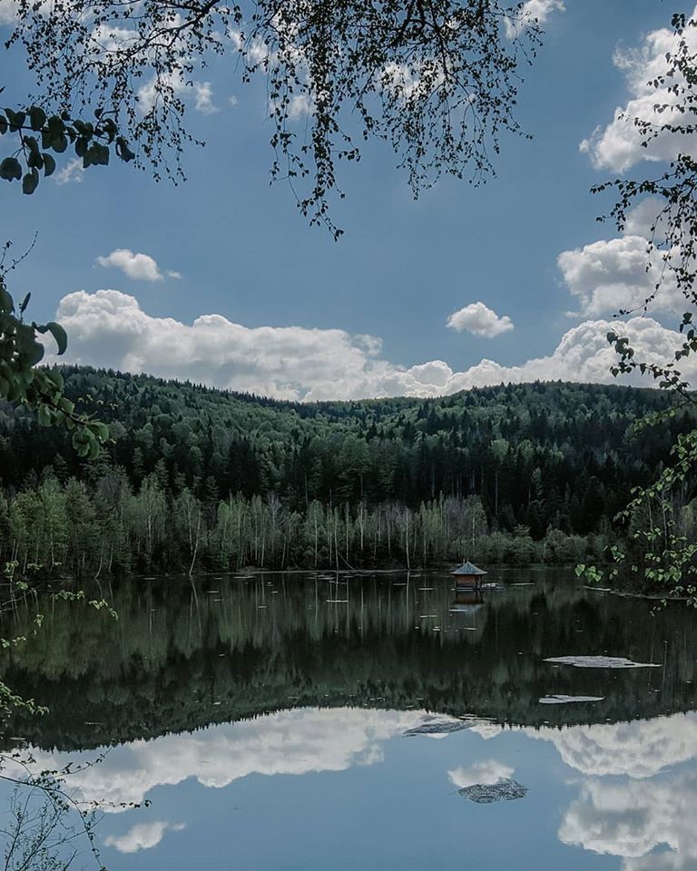 На світлині — ставок у селі Ілемня. Фото: Іван Падалка

