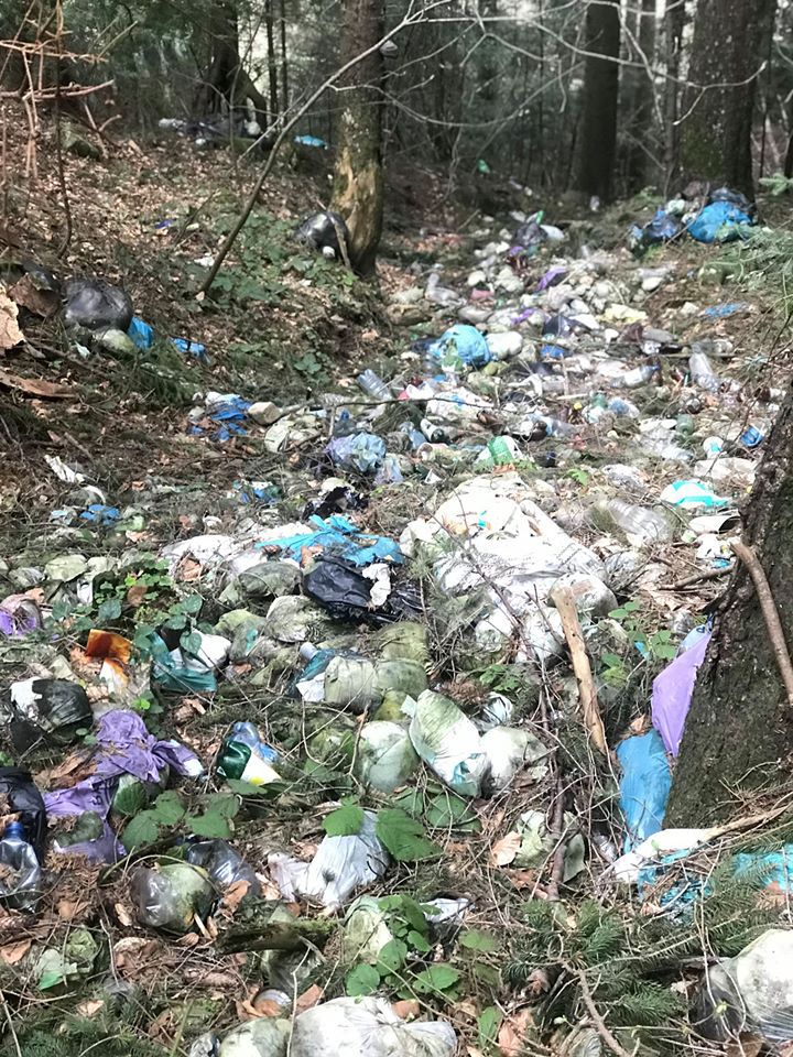 Сім'я з Микуличина не один рік скидала відходи у лісі