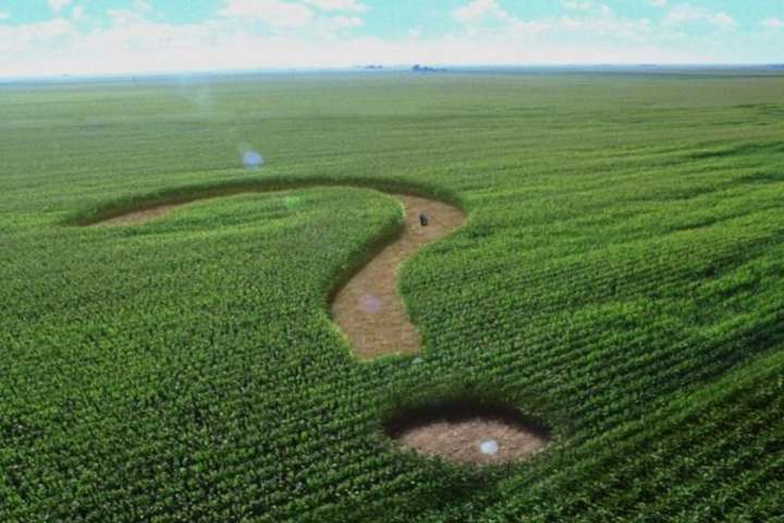 Ілюстрація. Плату за користування землею орендар здійснював не в повному обсязі