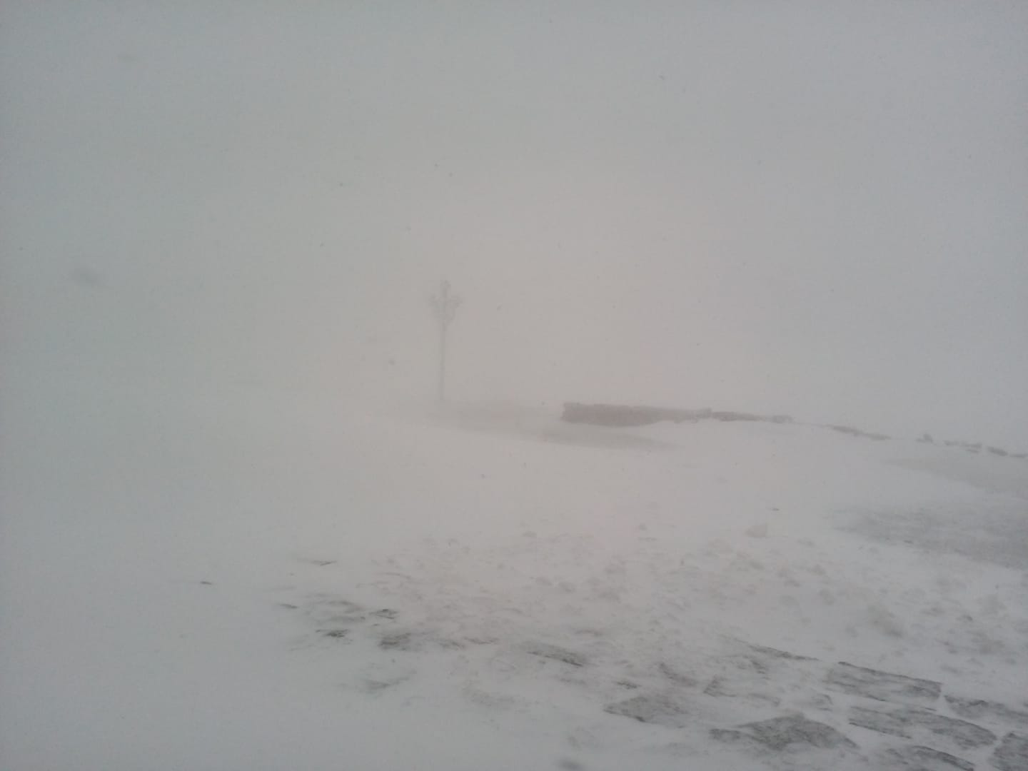 Через сніг і вітер видимість на Чорногорі обмежена до 20 метрів