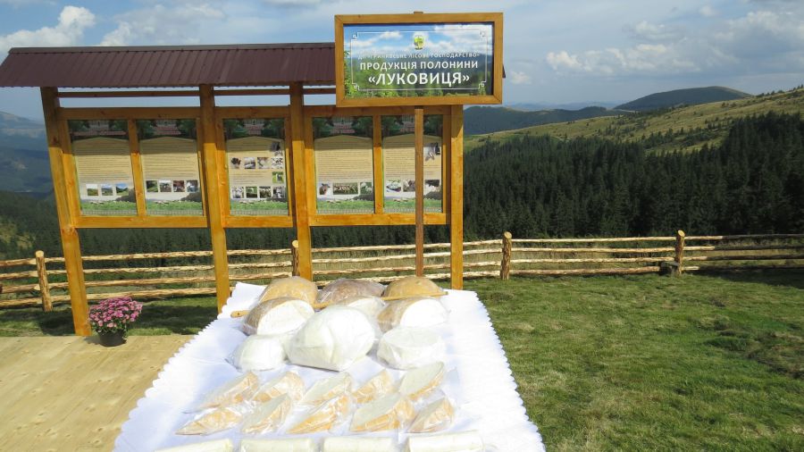 З овечого молока роблять сири — вурду, бринзу та будз