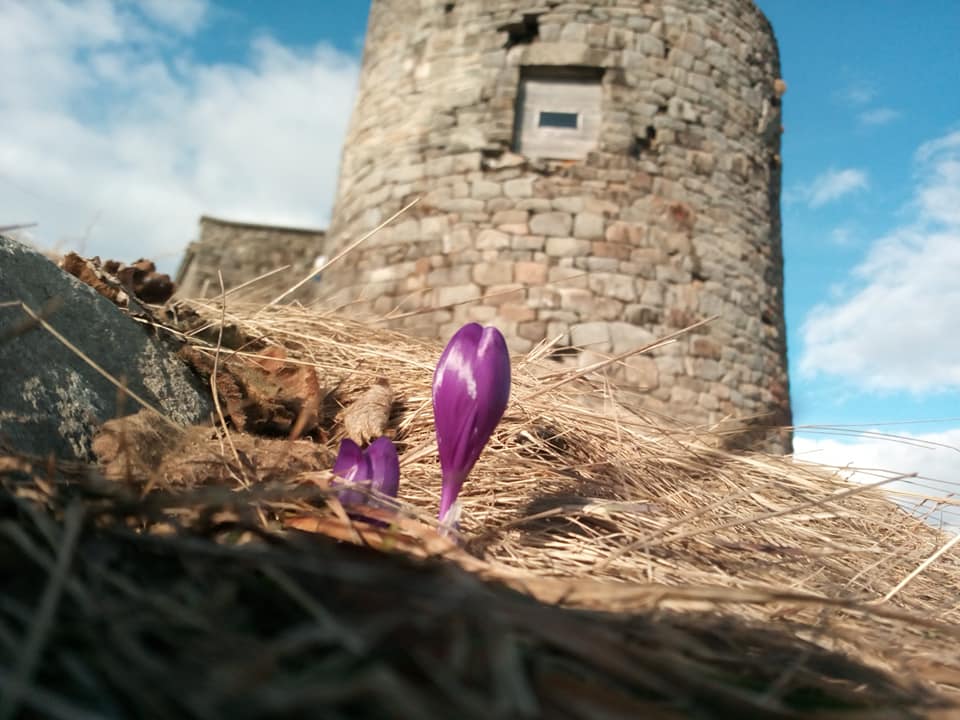 Хресна дорога до обсерваторії буде найдовша та найскладніша з усіх існуючих. Фото: Василь Фіцак