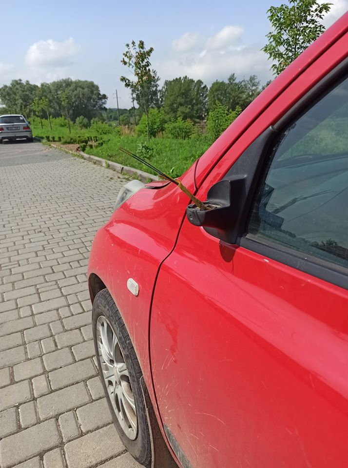 Невідомі відламали дзеркало в автомобілі