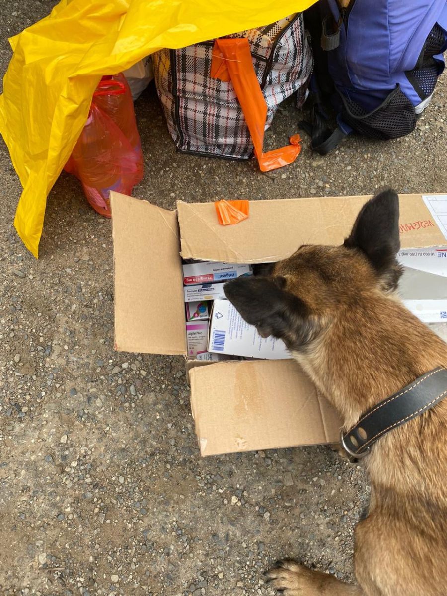 Митна служба виявила наркотики у франківчанина