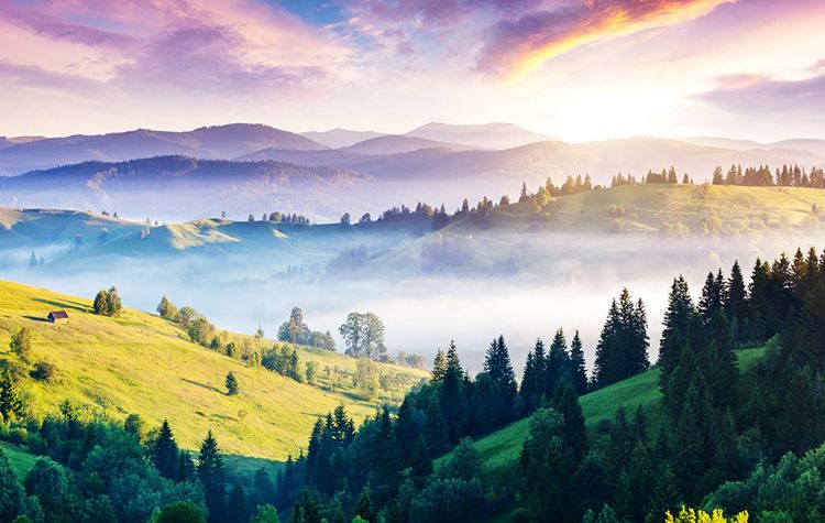 Ілюстрація. У Карпатах відновлюють роботу готелів та приватних секторів для туристів