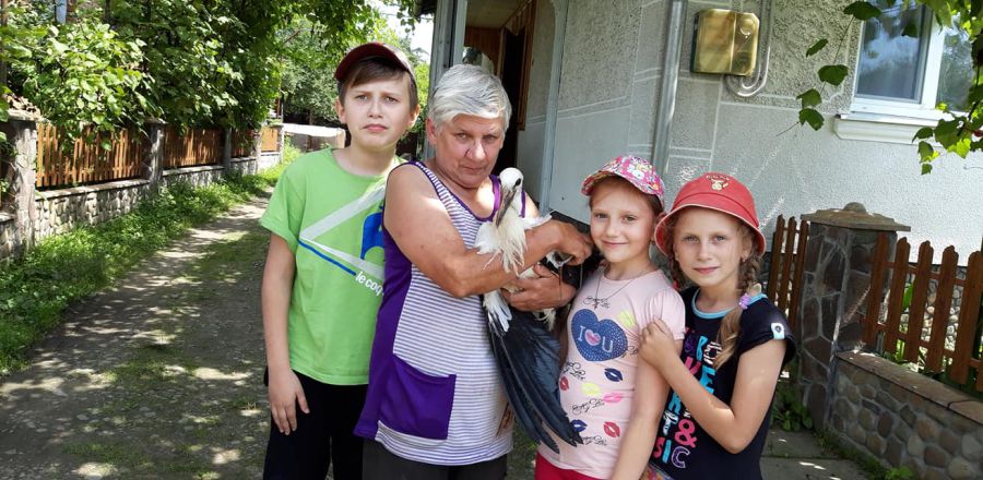 Всі задоволені, що лелеча пригода закінчилась щасливо