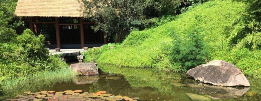 Ілюстрація. Так буде виглядати майбутній парк