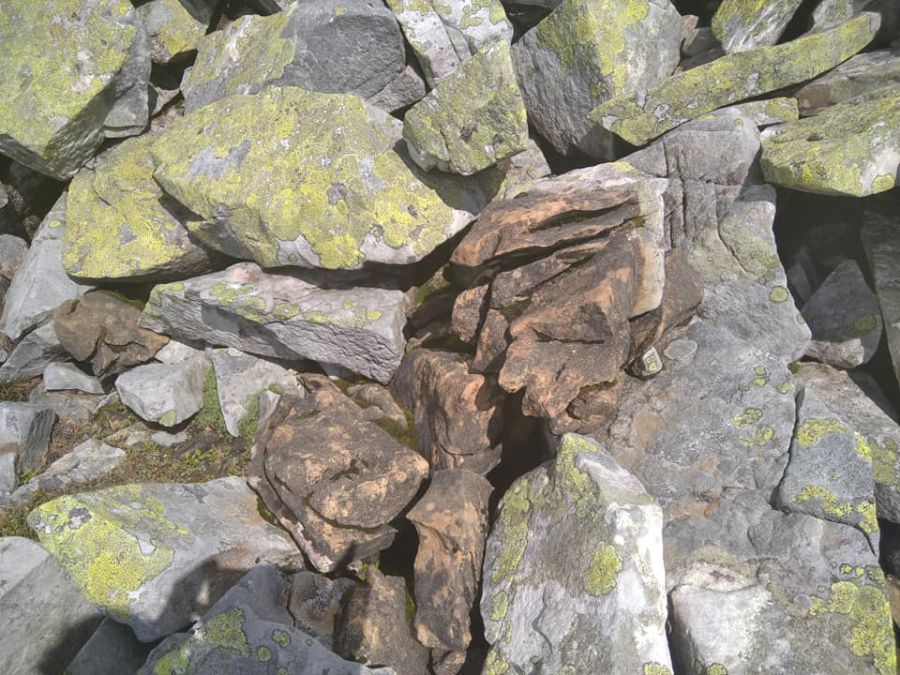 На горі Висока повсюди удари від блискавки