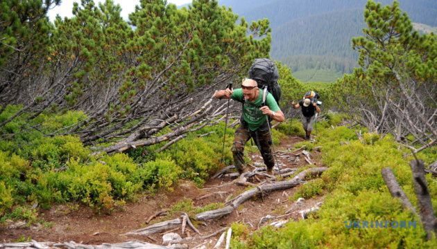 Ілюстрація. У лісовому масиві висадять близько сотні саджанців тису ягідного та встановлять інформаційні вказівники