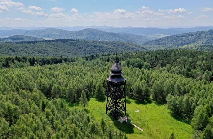 У бою з німцями біля гори Діл зaгинyлo 43 повстанців. Фото: Юрко Назарук