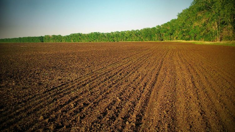 Вісім ветеранів АТО отримають по 2 га землі в районі житлового масиву «Підгірки»
