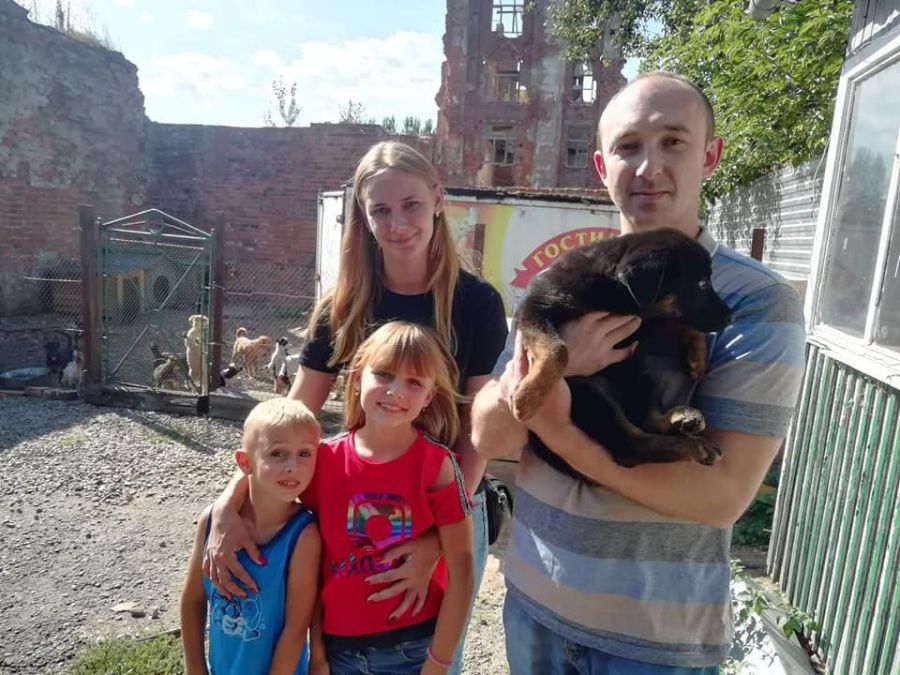 Милі безхатченки подарують тепло і радість новим господарям