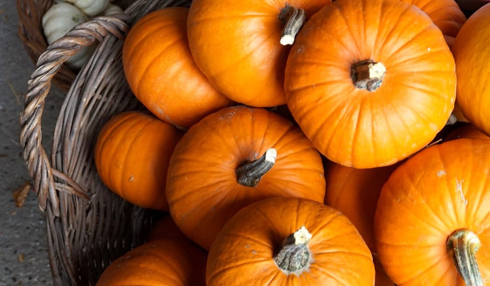 Ілюстрація. Голосування відбудеться в соціальній мережі Facebook