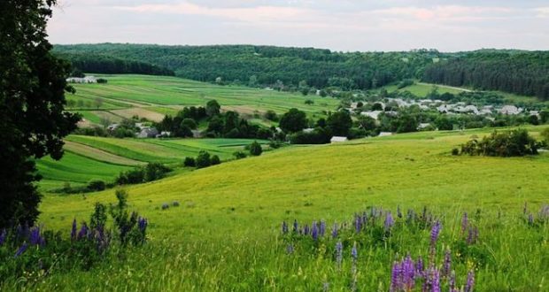 Ілюстрація. Парк буде привабливим місцем для туристів