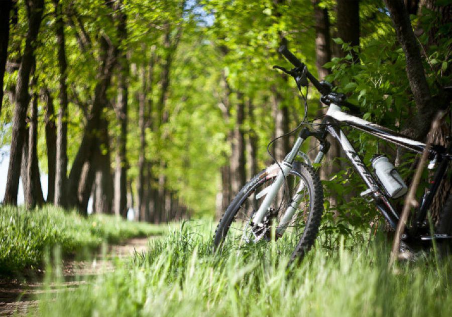 Ілюстрація. Маршрут в подальшому планують використовувати для велопробігів
