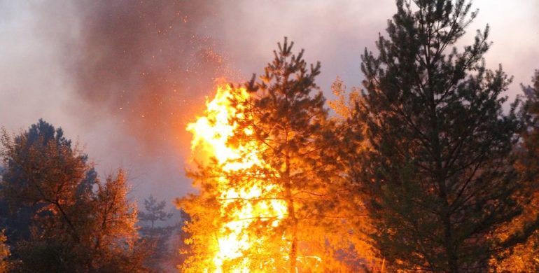 На Луганщині четверту добу продовжують боротися з вогнем