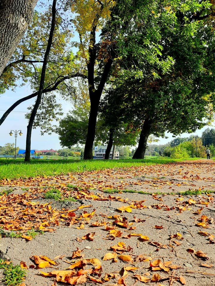 Ілюстративне фото. Канікули в Калуші розпочнуться на тиждень раніше. Фото: Natali Kovalska/Facebook