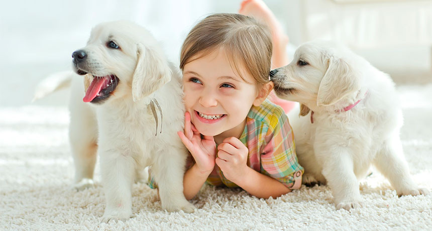 Ілюстрація. Собаки дарують дитині купу позитивних емоцій