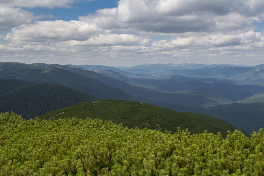 Ілюстрація. З 2018 року ці ділянки належали приватній особі