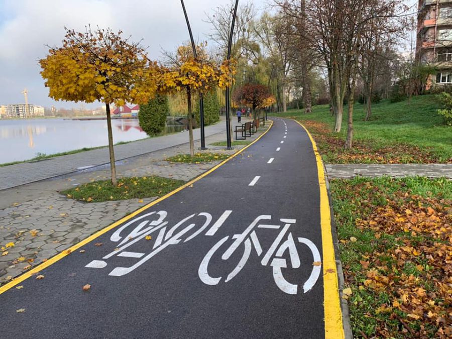 Дерева гармонійно вписуються в місцевий ландшафт