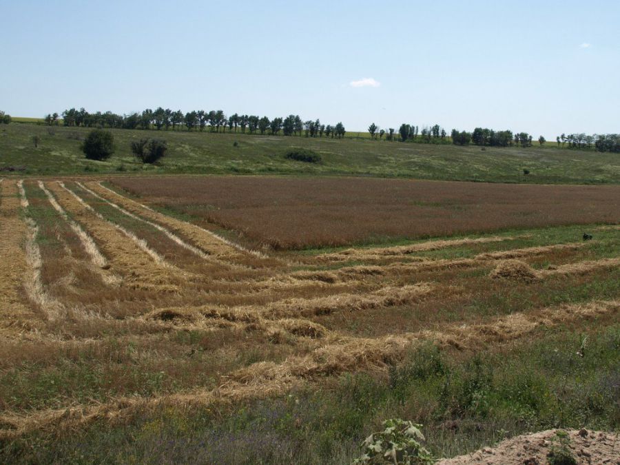 Ілюстрація. Міська рада в подальшому може переглянути вартість землі