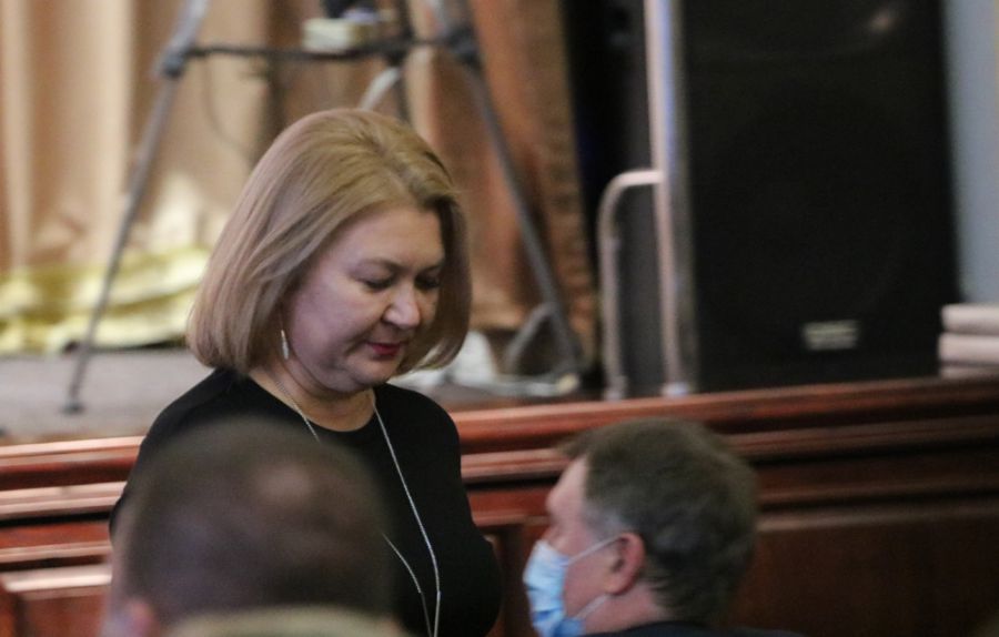 Руслана Вайда оприлюднила декларацію про доходи за 11 місяців цього року