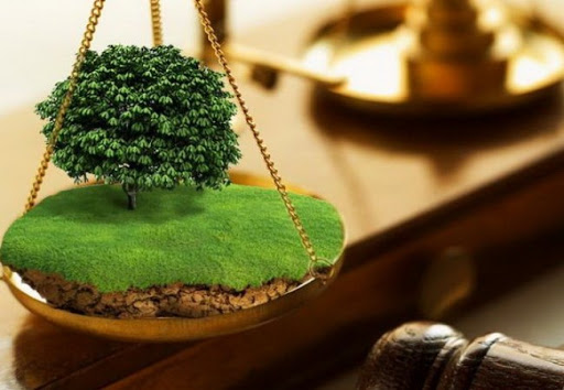 Ілюстрація. Голова сільради завдав збитків на майже 300 тисяч грн