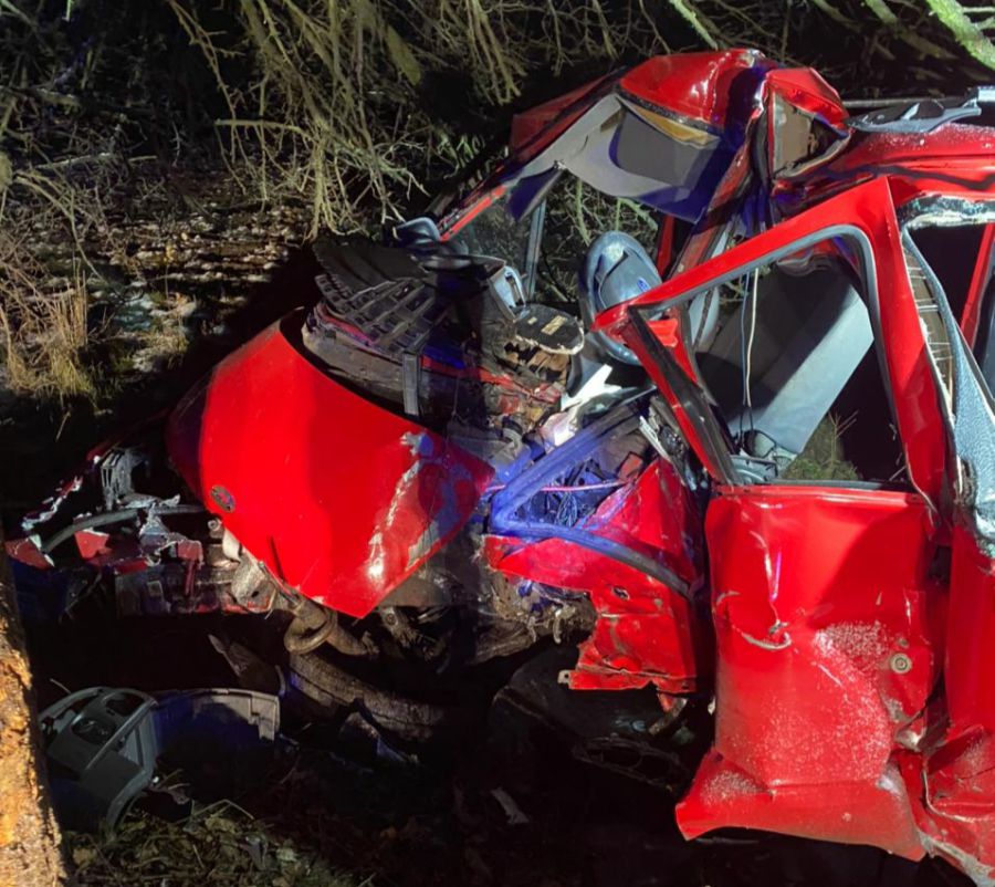 Водій допустив з'їзд транспортного засобу в кювет, де врізався в дерево