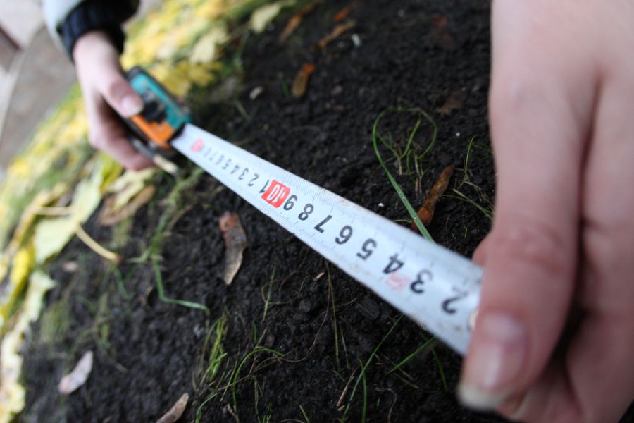 Ілюстрація. Згодом в комуналку власність передадуть ще 100 гектарів землі